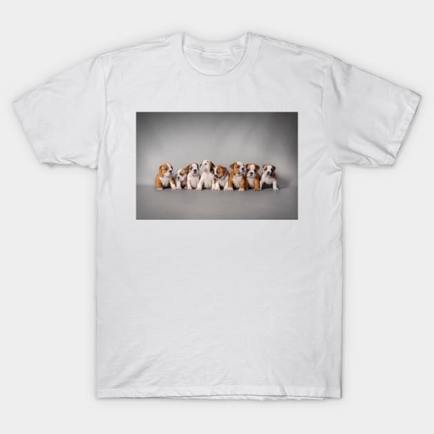 Eight Bulldog puppies T-Shirt by PetsArt